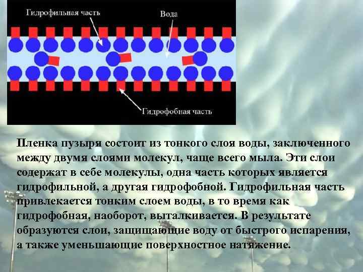 Пленка пузыря состоит из тонкого слоя воды, заключенного между двумя слоями молекул, чаще всего