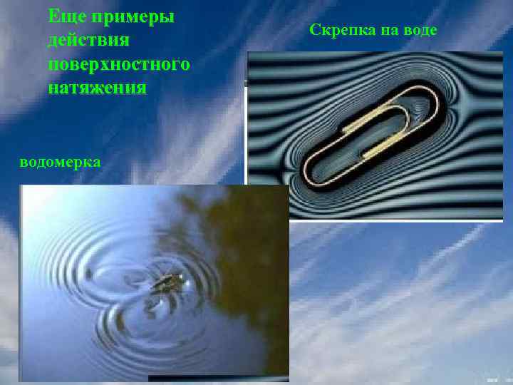 Еще примеры действия поверхностного натяжения водомерка Скрепка на воде 
