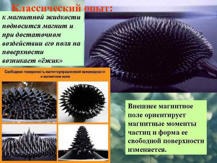 Классический опыт: к магнитной жидкости подносится магнит и при достаточном воздействии его поля на