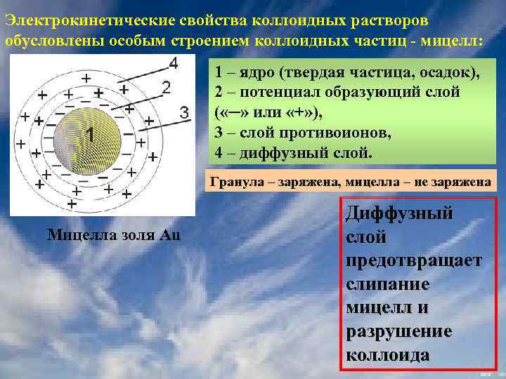 Свойства ядра. Строение коллоидной частицы (Золя).. Мицелла гранула ядро. Противоионы в мицелле. Электрокинетический потенциал частиц Золя.