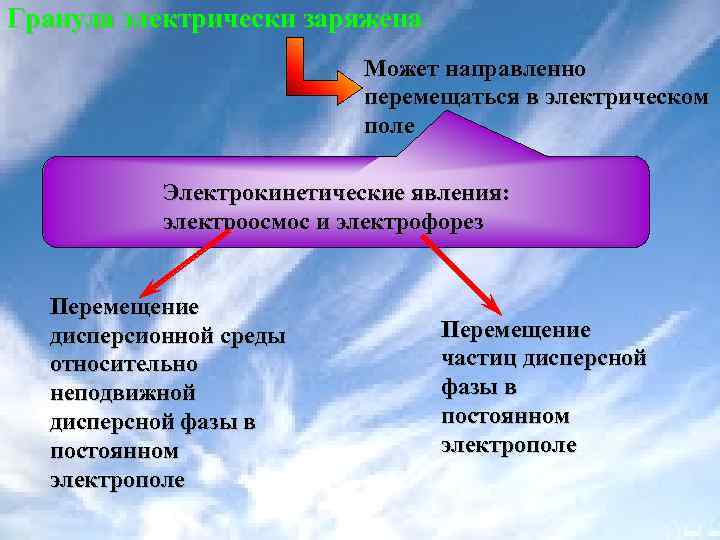 Гранула электрически заряжена Может направленно перемещаться в электрическом поле Электрокинетические явления: электроосмос и электрофорез