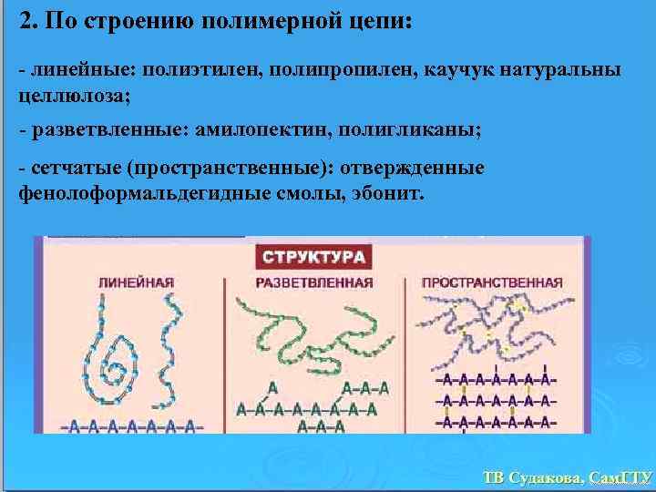 2. По строению полимерной цепи: - линейные: полиэтилен, полипропилен, каучук натуральны целлюлоза; - разветвленные: