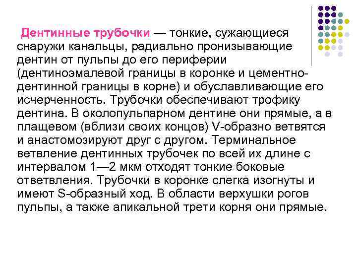  Дентинные трубочки — тонкие, сужающиеся снаружи канальцы, радиально пронизывающие дентин от пульпы до