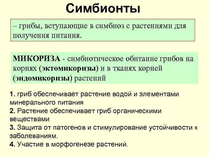 Симбионты – грибы, вступающие в симбиоз с растениями для получения питания. МИКОРИЗА - симбиотическое