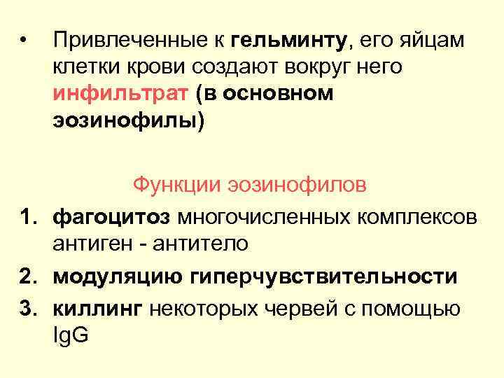  • Привлеченные к гельминту, его яйцам клетки крови создают вокруг него инфильтрат (в