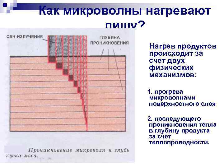 Как микроволны нагревают пищу? Нагрев продуктов происходит за счет двух физических механизмов: 1. прогрева