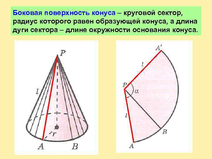 Боковая поверхность конуса – круговой сектор, радиус которого равен образующей конуса, а длина дуги