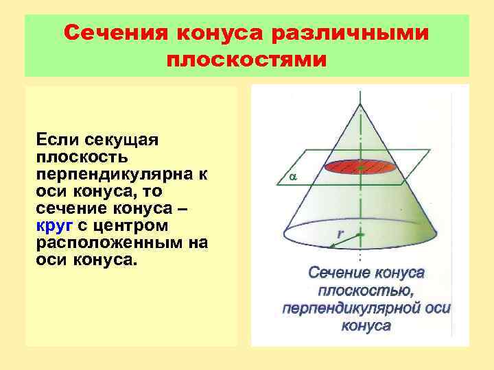 Сечения конуса различными плоскостями Если секущая плоскость перпендикулярна к оси конуса, то сечение конуса