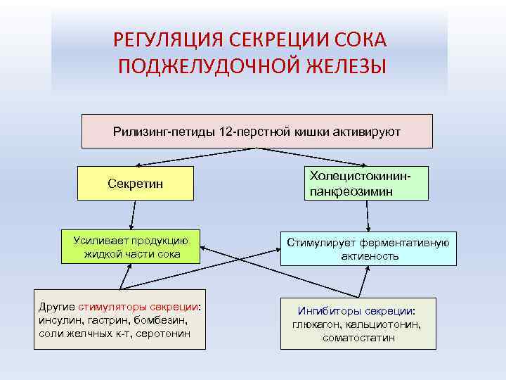 Регуляция панкреатического сока