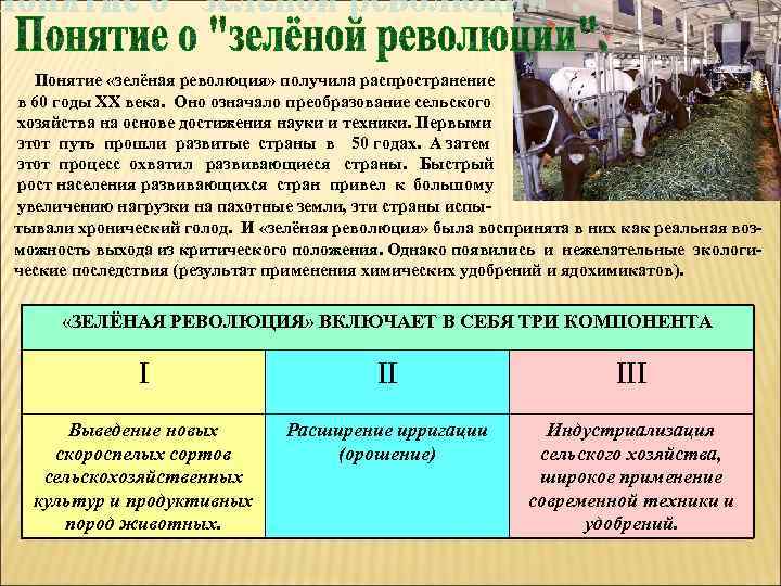 Понятие «зелёная революция» получила распространение в 60 годы ХХ века. Оно означало преобразование сельского