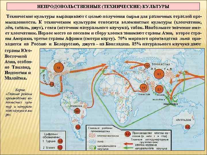НЕПРОДОВОЛЬСТВЕННЫЕ (ТЕХНИЧЕСКИЕ) КУЛЬТУРЫ Технические культуры выращивают с целью получения сырья для различных отраслей промышленности.