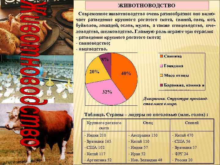 ЖИВОТНОВОДСТВО Современное животноводство очень разнообразно: оно включает разведение крупного рогатого скота, свиней, овец, коз,
