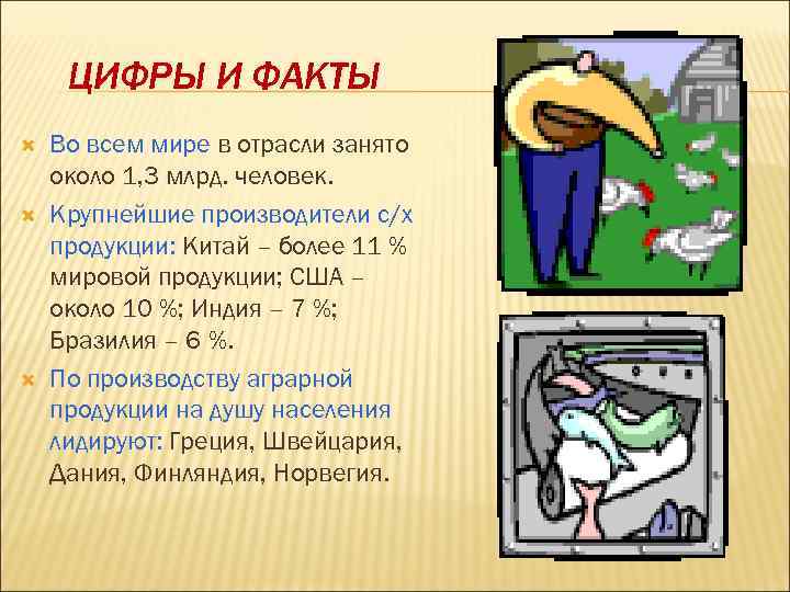ЦИФРЫ И ФАКТЫ Во всем мире в отрасли занято около 1, 3 млрд. человек.
