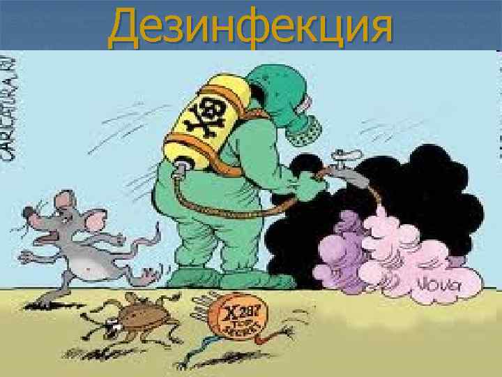 Дезинфекция 