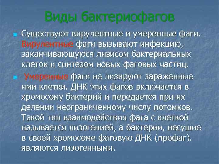 Вирулентный. Умеренные и вирулентные бактериофаги. Вирулентные фаги. Вирулентные бактериофаги это микробиология. Вирулентный и умеренный фаг.