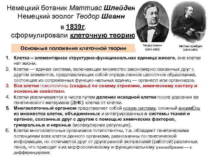 Немецкий ботаник Маттиас Шлейден Немецкий зоолог Теодор Шванн в 1839 г. сформулировали клеточную теорию