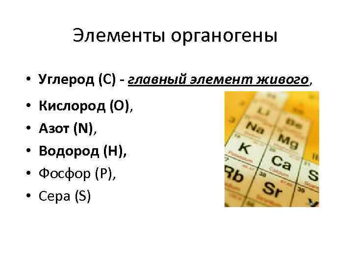 Жила элемента