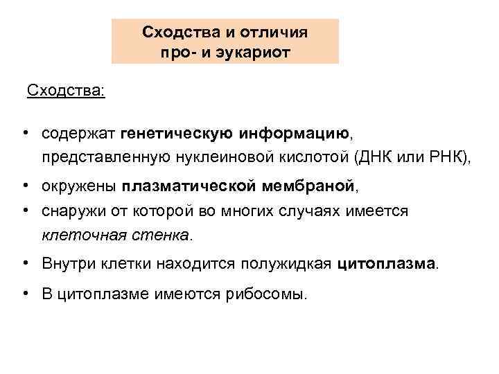 Сходства и отличия про- и эукариот Сходства: • содержат генетическую информацию, представленную нуклеиновой кислотой