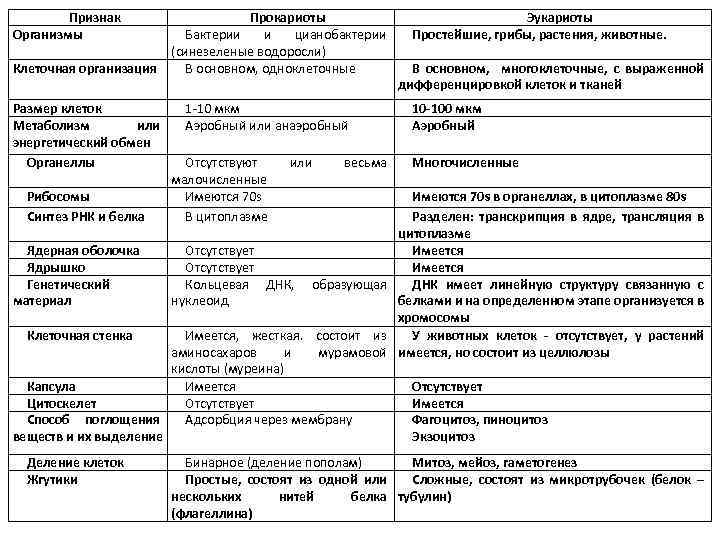 Признак Организмы Клеточная организация Размер клеток Метаболизм или энергетический обмен Органеллы Рибосомы Синтез РНК