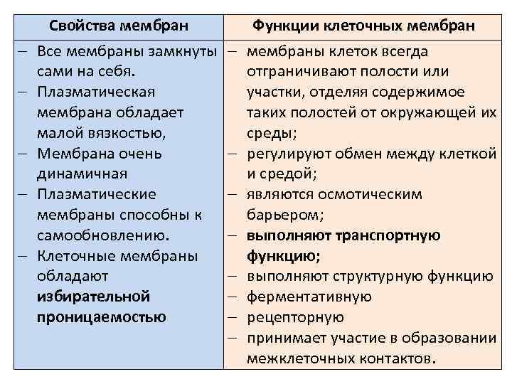 - Свойства мембран Все мембраны замкнуты сами на себя. Плазматическая мембрана обладает малой вязкостью,