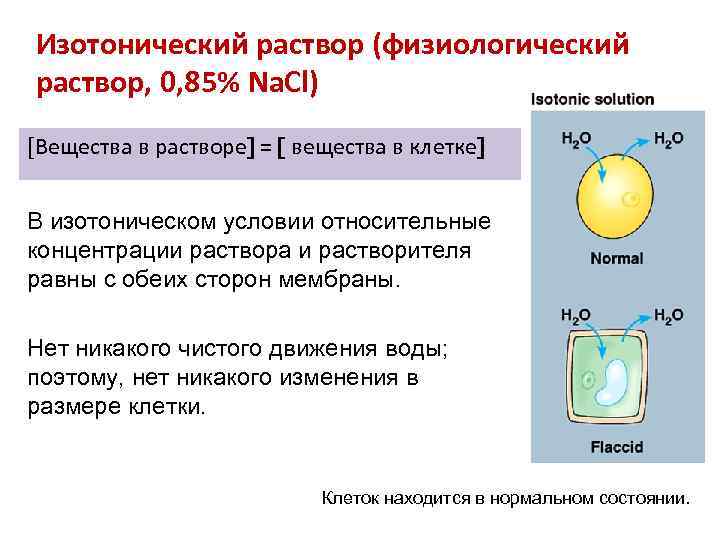 Изотонический раствор (физиологический раствор, 0, 85% Na. Cl) [Вещества в растворе = вещества в