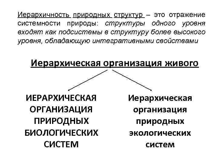 Иерархичность природных структур – это отражение системности природы: структуры одного уровня входят как подсистемы