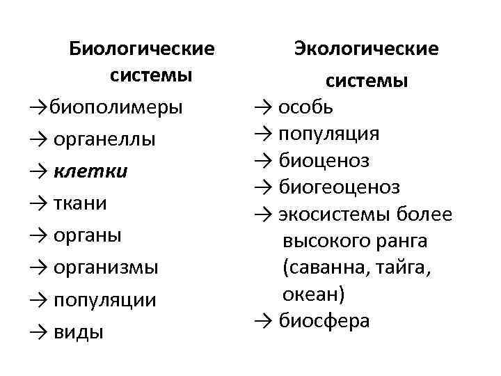 Биологические системы →биополимеры → органеллы → клетки → ткани → органы → организмы →