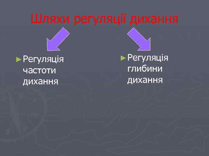 Шляхи регуляції дихання ► Регуляція частоти дихання ► Регуляція глибини дихання 