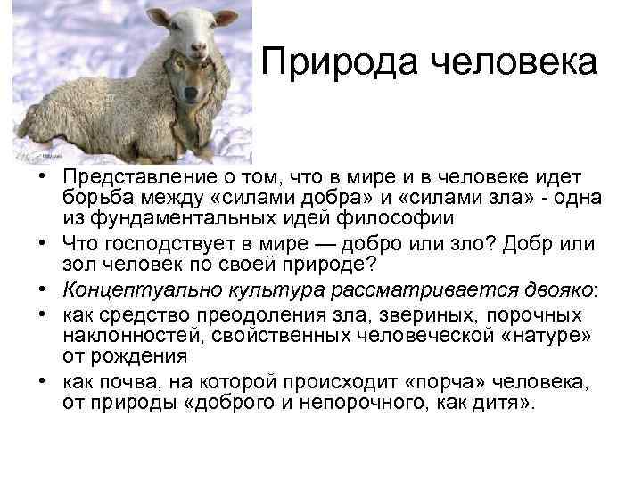 Природа человека • Представление о том, что в мире и в человеке идет борьба