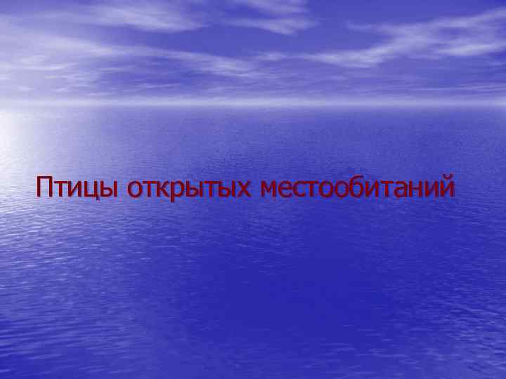 Птицы открытых местообитаний 
