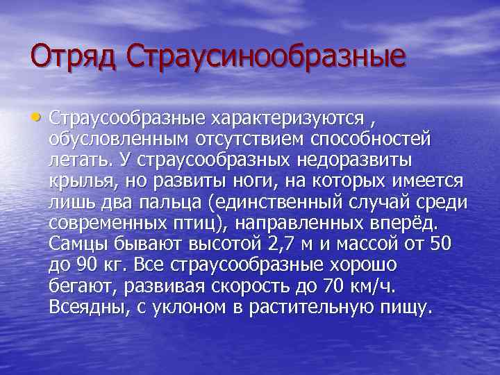Отряд Страусинообразные • Страусообразные характеризуются , обусловленным отсутствием способностей летать. У страусообразных недоразвиты крылья,