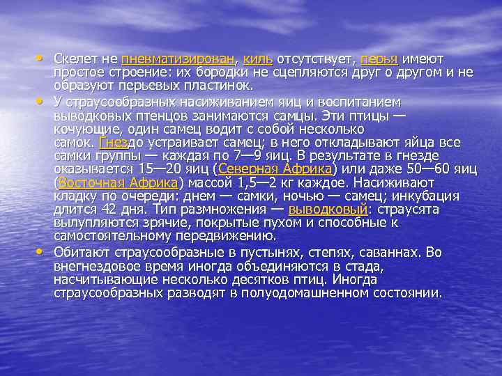  • Скелет не пневматизирован, киль отсутствует, перья имеют • • простое строение: их