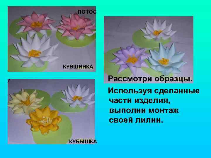 ЛОТОС КУВШИНКА Рассмотри образцы. Используя сделанные части изделия, выполни монтаж своей лилии. КУБЫШКА 