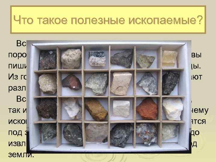 Что такое полезные ископаемые? Вся поверхность земли состоит из горных пород. Камушки на берегу