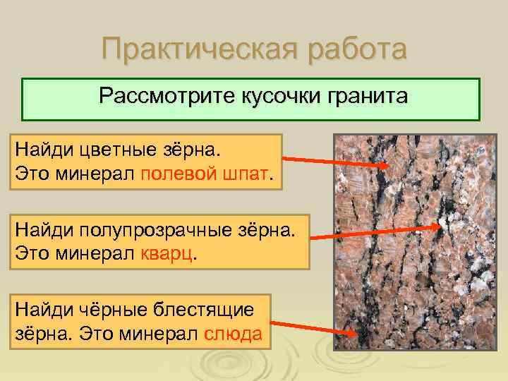 Практическая работа Рассмотрите кусочки гранита Найди цветные зёрна. Это минерал полевой шпат. Найди полупрозрачные