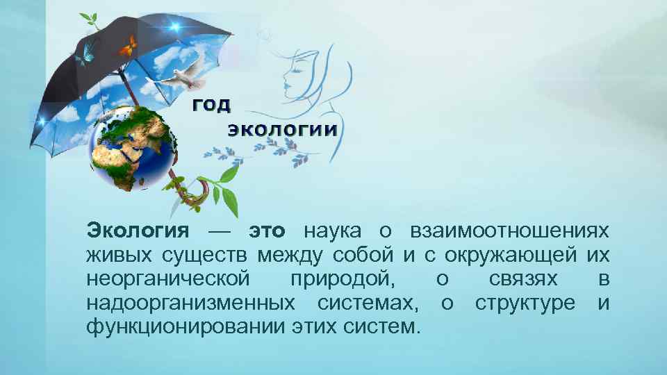 Экология — это наука о взаимоотношениях живых существ между собой и с окружающей их
