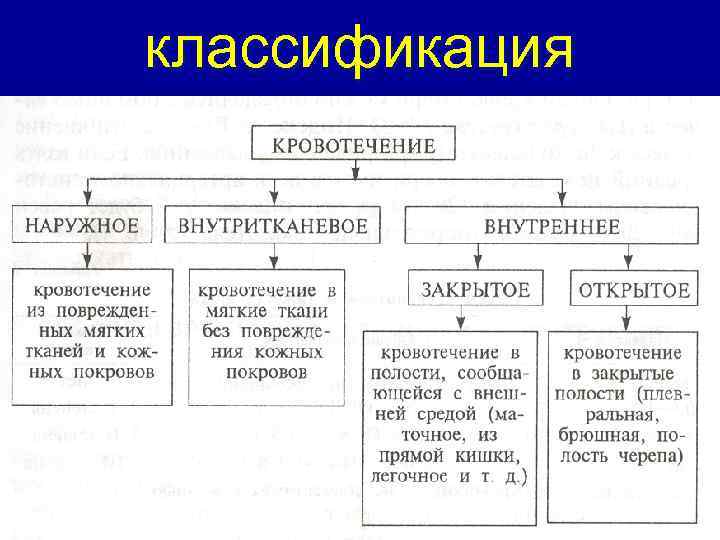 классификация 