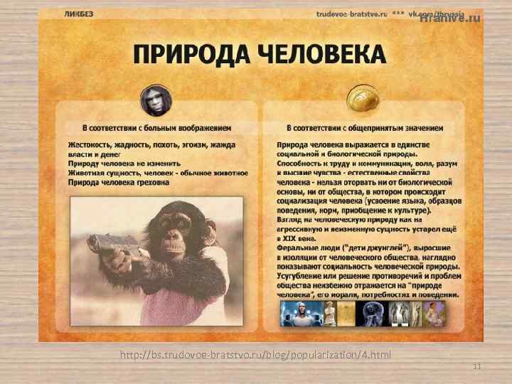 http: //bs. trudovoe-bratstvo. ru/blog/popularization/4. html 11 