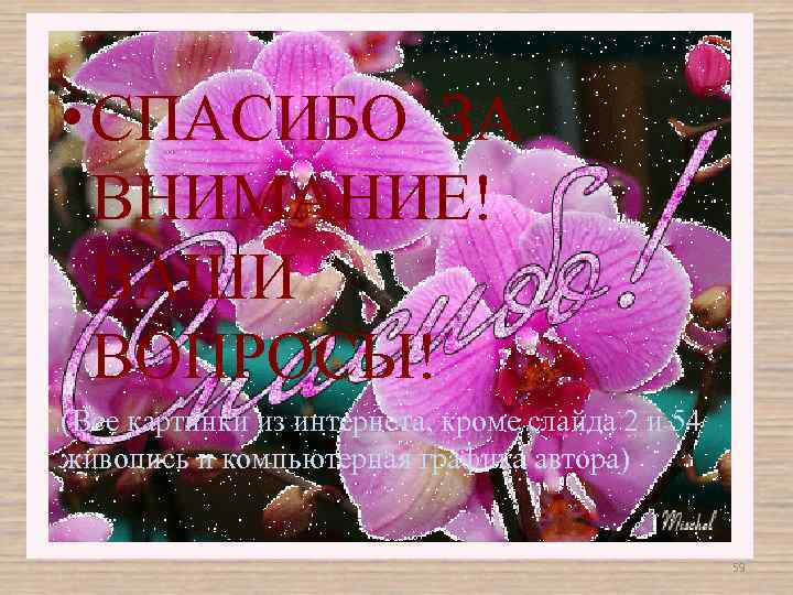  • СПАСИБО ЗА ВНИМАНИЕ! ВАШИ ВОПРОСЫ! (Все картинки из интернета, кроме слайда 2