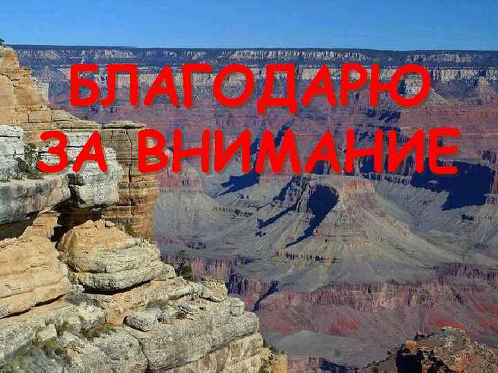 БЛАГОДАРЮ ЗА ВНИМАНИЕ 