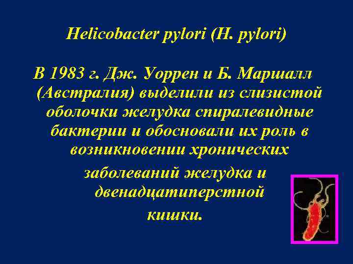 Helicobacter pylori (H. pylori) В 1983 г. Дж. Уоррен и Б. Маршалл (Австралия) выделили