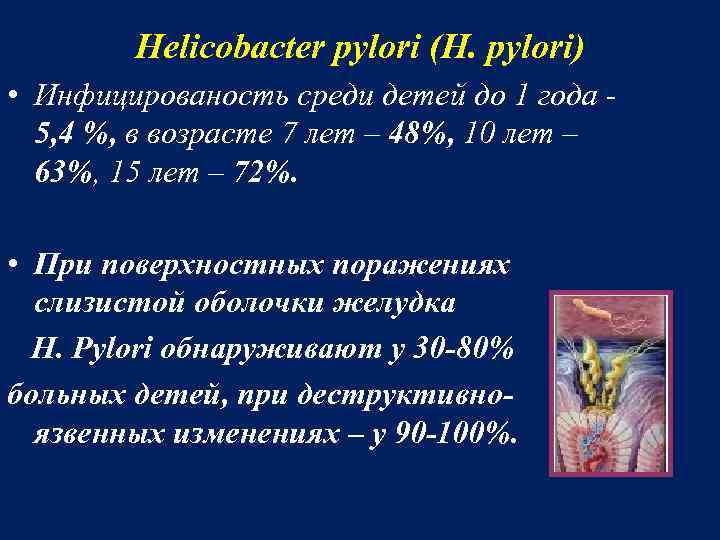 Helicobacter pylori (H. pylori) • Инфицированость среди детей до 1 года 5, 4 %,