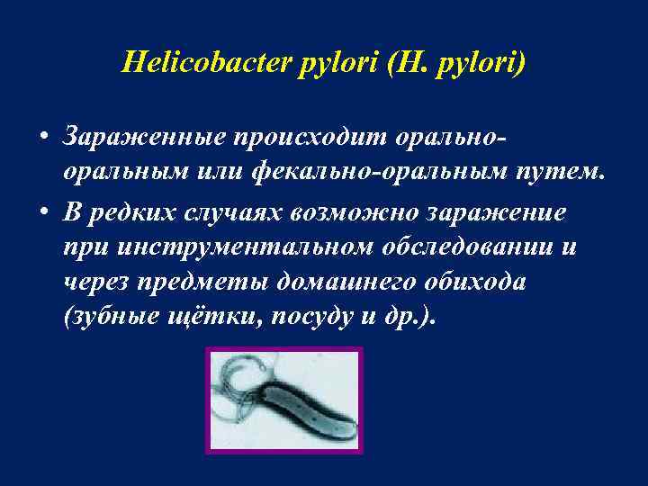 Helicobacter pylori (H. pylori) • Зараженные происходит оральнооральным или фекально-оральным путем. • В редких