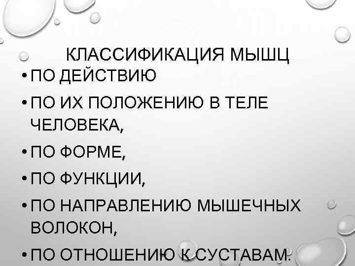 КЛАССИФИКАЦИЯ МЫШЦ • ПО ДЕЙСТВИЮ • ПО ИХ ПОЛОЖЕНИЮ В ТЕЛЕ ЧЕЛОВЕКА, • ПО