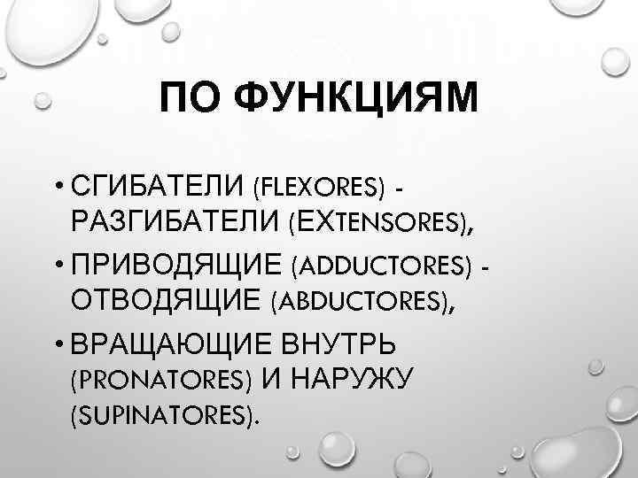 ПО ФУНКЦИЯМ • СГИБАТЕЛИ (FLEXORES) РАЗГИБАТЕЛИ (ЕХTENSORES), • ПРИВОДЯЩИЕ (ADDUCTORES) ОТВОДЯЩИЕ (ABDUCTORES), • ВРАЩАЮЩИЕ