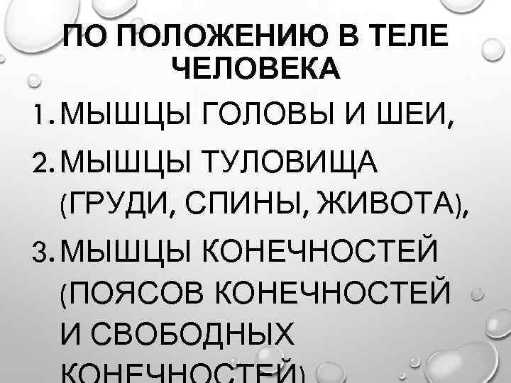 ПО ПОЛОЖЕНИЮ В ТЕЛЕ ЧЕЛОВЕКА 1. МЫШЦЫ ГОЛОВЫ И ШЕИ, 2. МЫШЦЫ ТУЛОВИЩА (ГРУДИ,