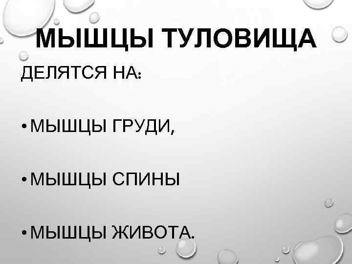 МЫШЦЫ ТУЛОВИЩА ДЕЛЯТСЯ НА: • МЫШЦЫ ГРУДИ, • МЫШЦЫ СПИНЫ • МЫШЦЫ ЖИВОТА. 