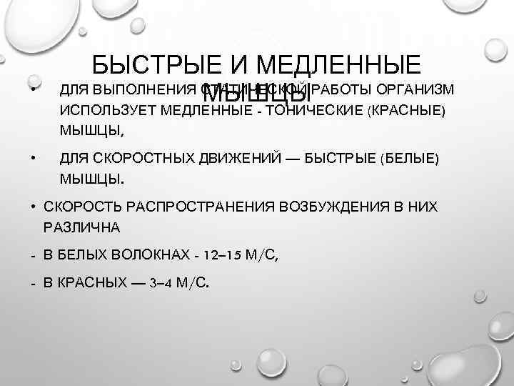  • БЫСТРЫЕ И МЕДЛЕННЫЕ ДЛЯ ВЫПОЛНЕНИЯ СТАТИЧЕСКОЙ РАБОТЫ ОРГАНИЗМ МЫШЦЫ ИСПОЛЬЗУЕТ МЕДЛЕННЫЕ -