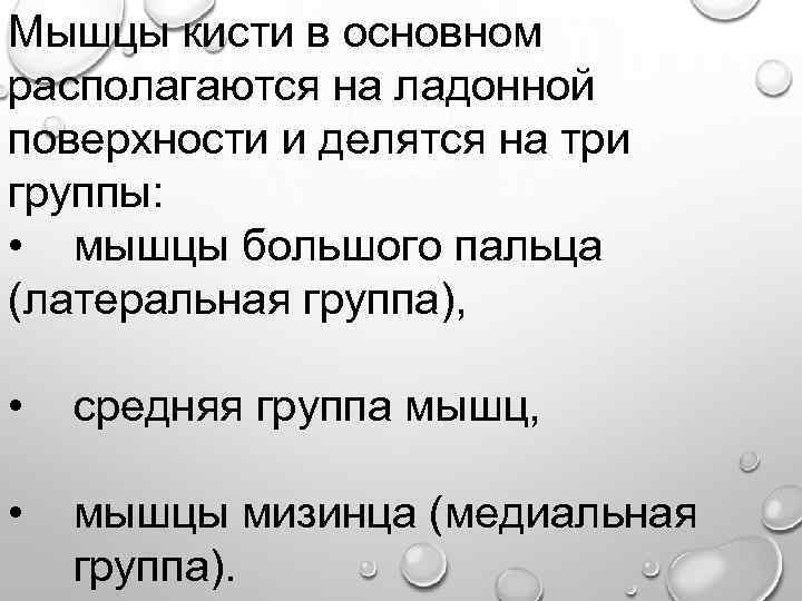 Мышцы кисти в основном располагаются на ладонной поверхности и делятся на три группы: •