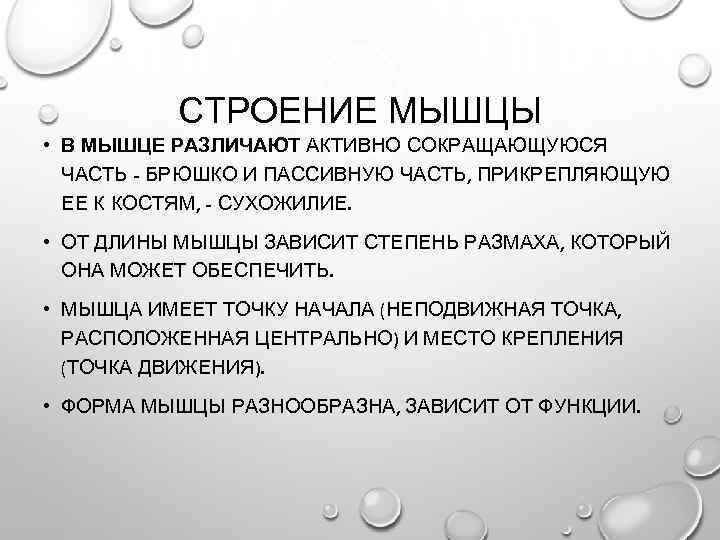 СТРОЕНИЕ МЫШЦЫ • В МЫШЦЕ РАЗЛИЧАЮТ АКТИВНО СОКРАЩАЮЩУЮСЯ ЧАСТЬ - БРЮШКО И ПАССИВНУЮ ЧАСТЬ,
